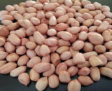 Groundnut / நிலக்கடலை